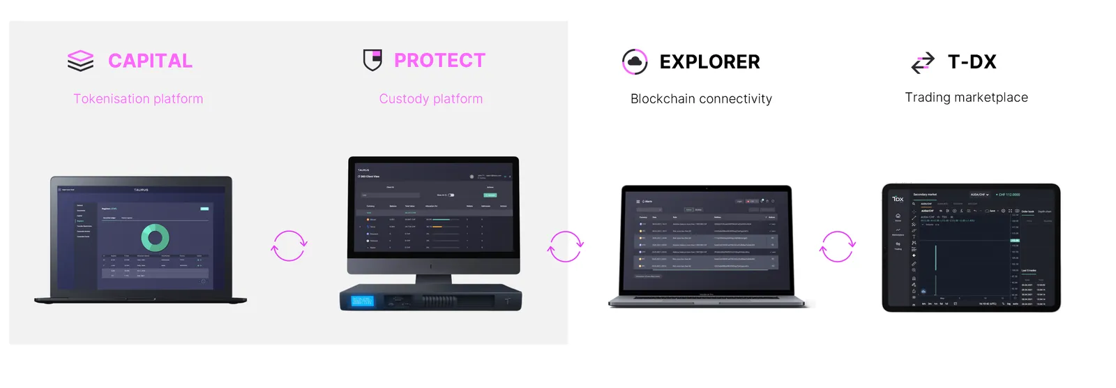 Taurus Protect overview grey.PNG